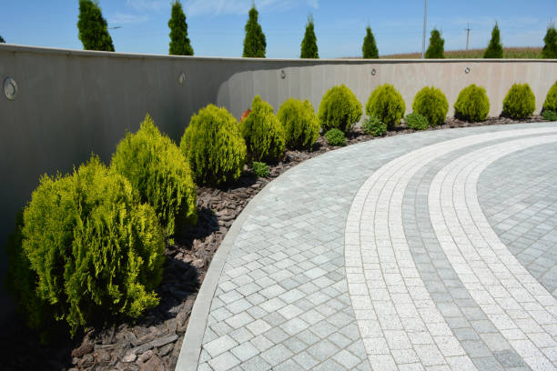 Best Driveway Paving Near Me  in Barberton, WA